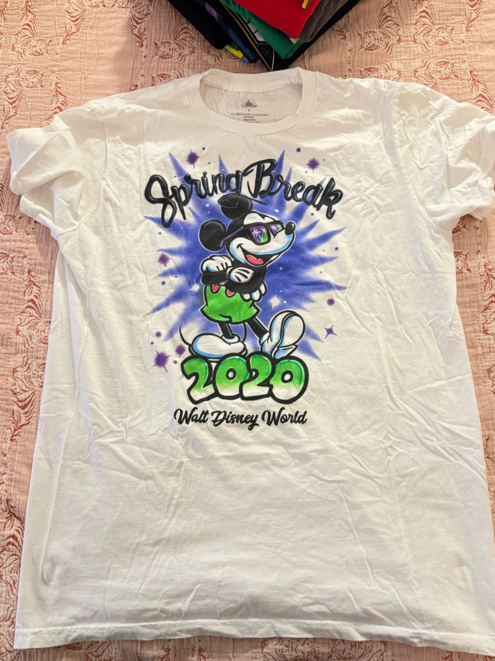 Walt Disney World Spring Break 2020 tee, L